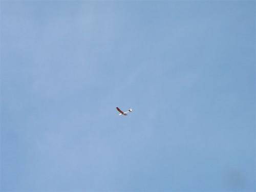 P9153992