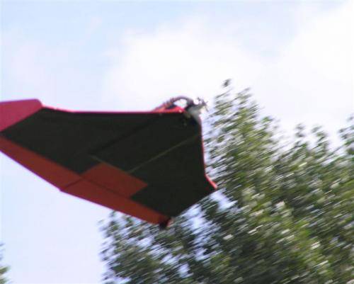 P9153996