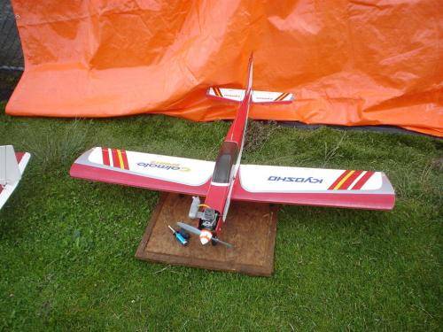 Funfly Juni 2009 021